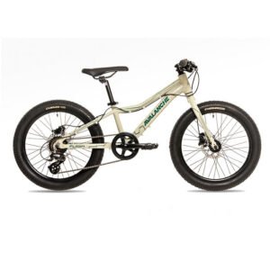 Home AVALANCHE Flash 20" Disc (2024)