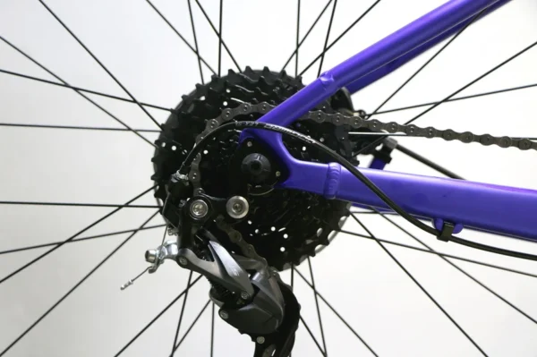 zini z29 sport (2025) ZINI Z29 Sport (2025)